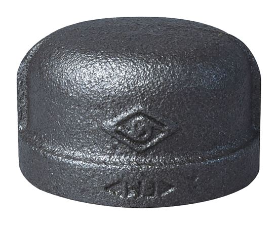 Prosource B300 32 Pipe Cap, 1-1/4 in, FIP, Malleable Iron, 40 Schedule, 300 psi Pressure