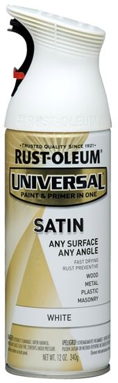 Rust-Oleum 245210 Enamel Spray Paint, Satin, White, 12 oz, Can