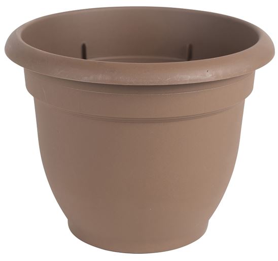 Bloem 20-56306CH Planter, 6 in Dia, 5-1/4 in H, 6-1/2 in W, Round, Plastic, Chocolate, Pack of 10