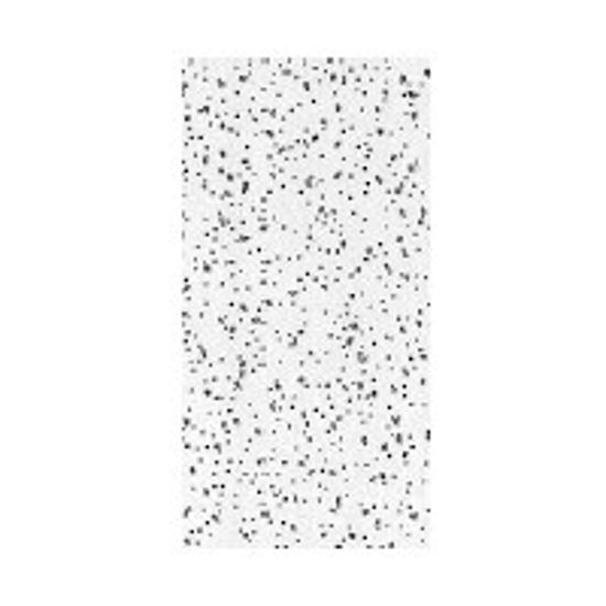 USG R2310/290 Ceiling Panel, 4 ft L, 2 ft W, 5/8 in Thick, Fiberboard, White