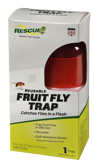 Rescue FFTR-BB4 Fruit Fly Trap, 1, Card