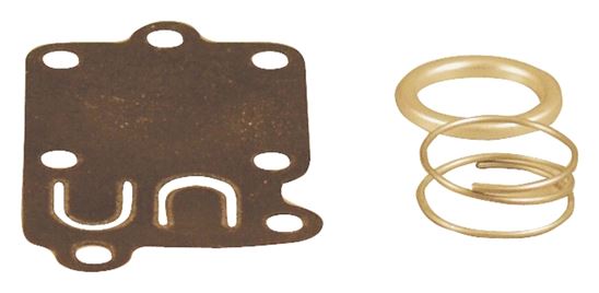 Briggs & Stratton 5021K Diaphragm Kit, Carburetor