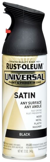 Rust-Oleum 245197 Enamel Spray Paint, Satin, Black, 12 oz, Can