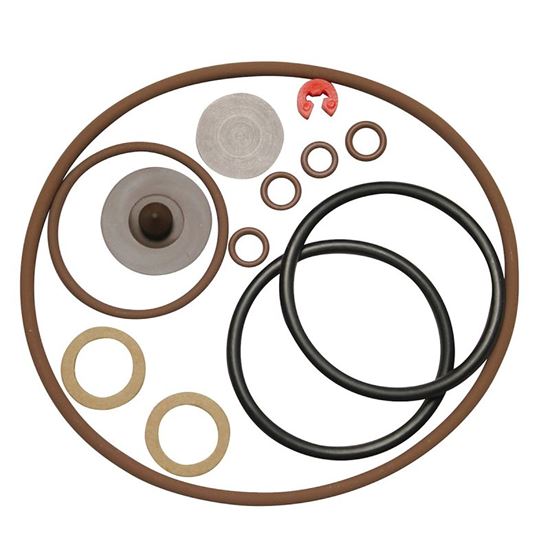 CHAPIN 6-5368 Repair Seal Kit, Premier, For: Pro Series Family of Sprayers