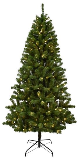 Hometown Holidays 10973 Christmas Tree, 7 ft H, Douglas Fir Family, CUL Adapter, Mini LED Bulb, White Light