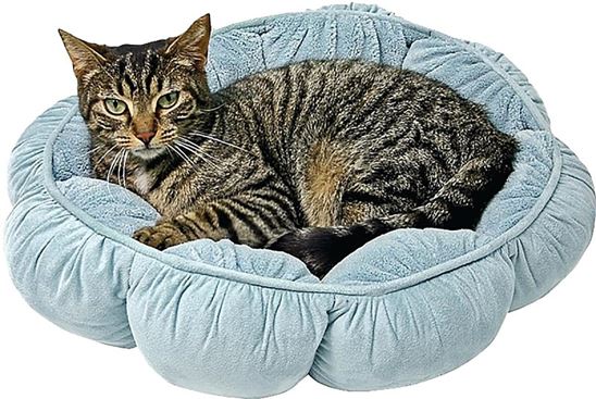 Aspenpet 27459 Pillow Pet Bed, 18 in Dia, 18 in L, 18 in W, Puffy Round Pattern, Poly Fiber Fill, Assorted