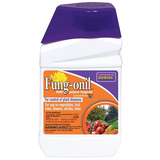 Bonide Fung-onil 880 Fungicide, Liquid, Minimal, White, 1 pt