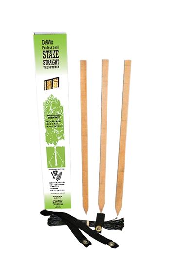 DeWitt PSS Tree Stakes Kit, 32 in L, Hardwood