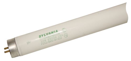 Sylvania 21720 Fluorescent Bulb, 32 W, T8 Lamp, Medium G13 Lamp Base, 2708 Lumens, 6500 K Color Temp, Stark White Light, Pack of 30