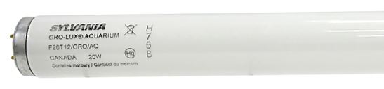 Sylvania 22029 Fluorescent Bulb, 20 W, T12 Lamp, Medium G13 Lamp Base, 480 Lumens, 9000 hr Average Life, Pack of 6