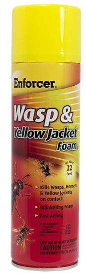 Enforcer FWH16 Wasp and Yellow Jacket Foam, Gas, Spray Application, 16 oz Aerosol Can