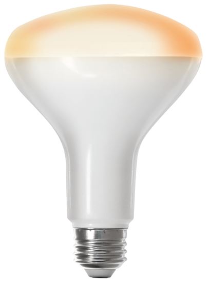 Feit Electric BR30/927CA/AG Smart Bulb, 8 W, Wi-Fi Connectivity: 2.4 GHz, Mobile App/Voice Commands Control