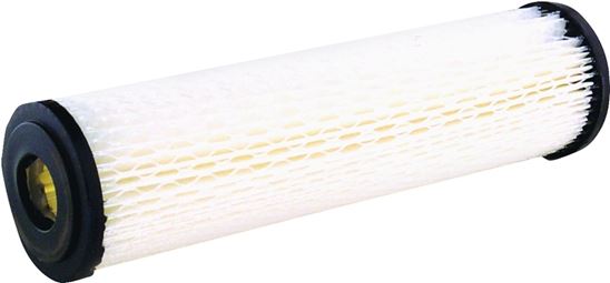 Omnifilter RS1-DS12-S18 Water Filter Cartridge, 20 um Filter, Water Filter Media, Resin Infused Cellulose