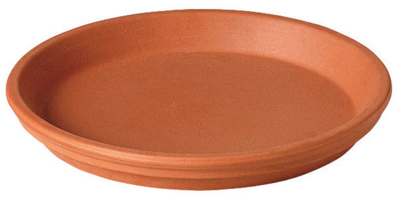 Deroma Terracotta Clay Natural Plant Saucer 1.3 in. H x 11.5 in. W x 9. ...