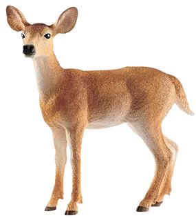 Schleich-S Wild Life Series 14819 Toy, 3 to 12 years, White-Tailed Doe, Plastic