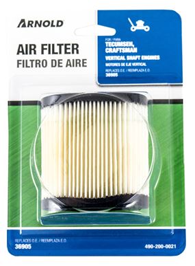 Arnold 490-200-0021 Replacement Air Filter