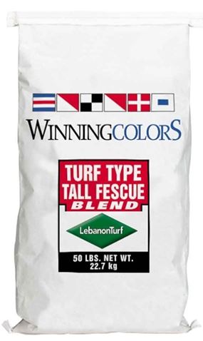 LebanonTurf 28-54609 Winning Colors Tall Fescue Seed Blend, 50 lb