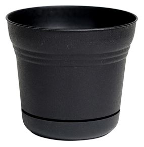 Bloem SPO500 Planter, 4-1/2 in H, 5 in W, 5 in D, Classic Textured Design, Plastic, Black, Matte, Pack of 12