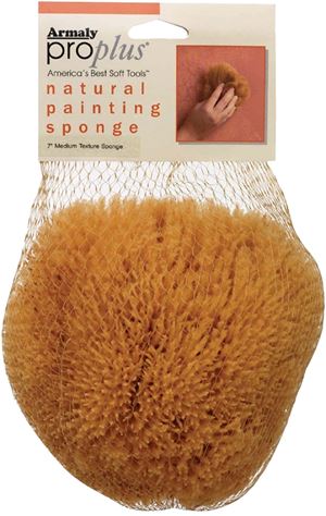 Armaly ProPlus 15216-7 Textured Painting Sponge, 5 in W, Medium