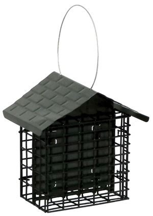 Stokes Select 38070 Suet Buffet Bird Feeder, Metal/Steel, 7 in H