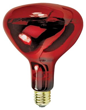 Feit Electric 250R40/10 Incandescent Lamp, 250 W, R40 Lamp, Medium E26 Lamp Base, Red Lamp, 2000 hr Average Life