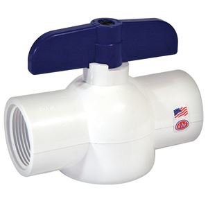 KBI  King Brothers  Ball Valve  2 in. FPT   x 2 in. Dia. FPT  PVC  Economy