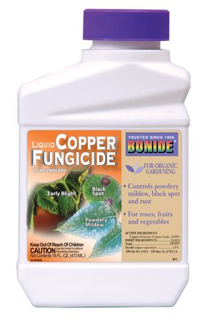 Bonide  Liquid Copper  Fungicide  16 oz. Liquid