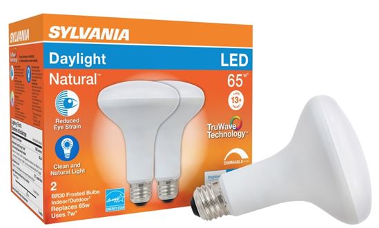 Sylvania 40730 Natural LED Bulb, Spotlight, BR30 Lamp, 65 W Equivalent, E26 Lamp Base, Dimmable, Frosted, Daylight Light - VORG1228196