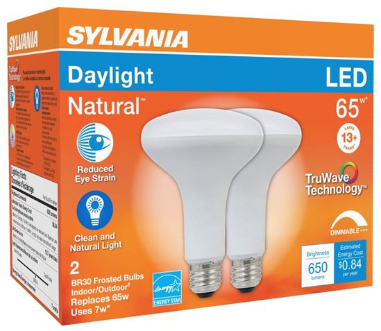 Sylvania 40730 Natural LED Bulb, Spotlight, BR30 Lamp, 65 W Equivalent, E26 Lamp Base, Dimmable, Frosted, Daylight Light - VORG1228196