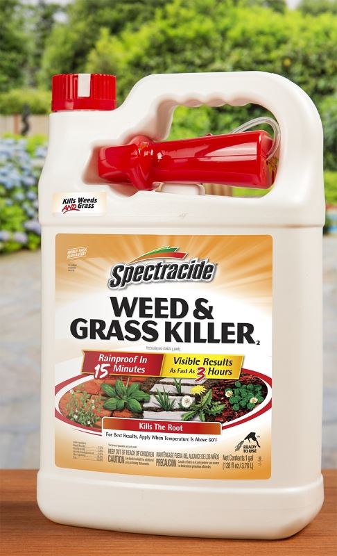 Spectracide HG-96017 Weed and Grass Killer, Liquid, Amber, 1 gal Can - VORG9821182