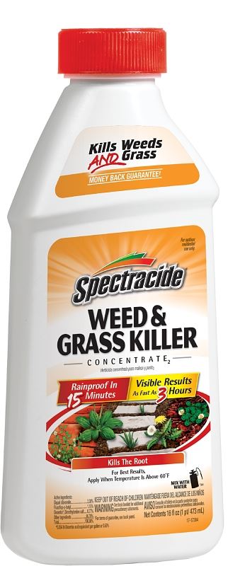 Spectracide HG-66001 Weed and Grass Killer, Liquid, Amber, 16 oz - VORG7048283