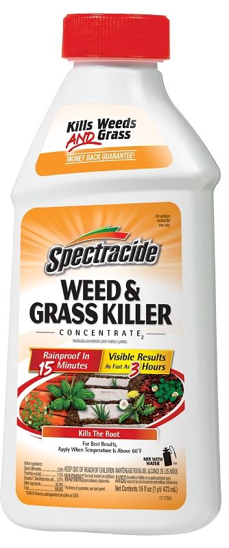 Spectracide HG-66001 Weed and Grass Killer, Liquid, Amber, 16 oz - VORG7048283