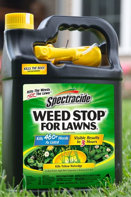 Spectracide HG-96543 Weed Stop, Liquid, Spray Application, 1 gal Package - VORG1373539