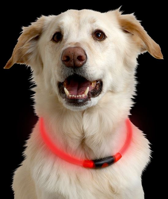 Nite Ize NITEHOWL NHO-10-R3 Safety Necklace, 12 to 27 in Neck, 0.3 in W Collar, Polymer, Red - VORG5576038