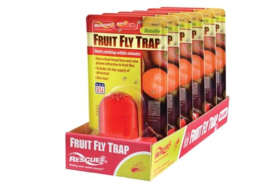 Rescue FFTR-BB4 Fruit Fly Trap, 1, Card - VORG9034075