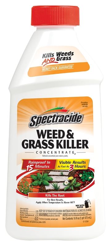 Spectracide HG-66001 Weed and Grass Killer, Liquid, Amber, 16 oz