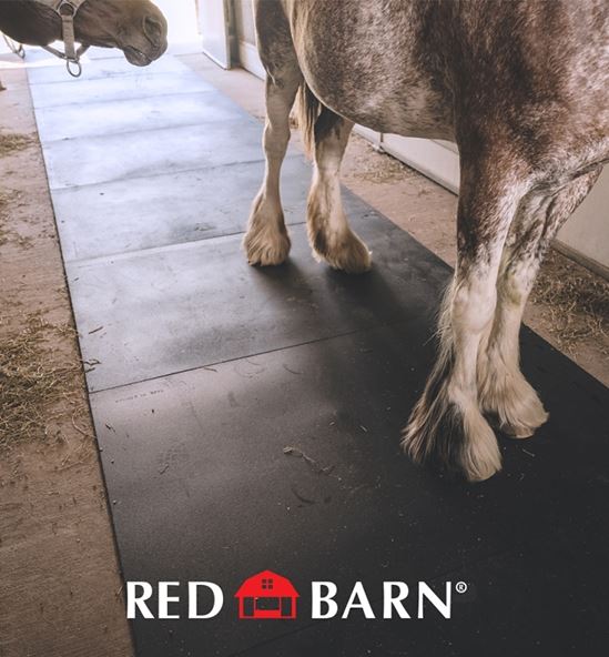 Red Barn 1202220 Stall Mat, Rubber, Pack of 25 - VORG7960305