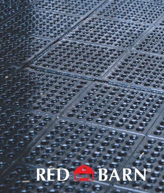 Red Barn 5608001 Interlocking Mat, Rubber, Black, Pack of 50 - VORG7960313