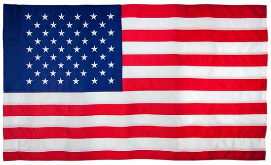 Valley Forge 60650 USA Flag, 2-1/2 ft W, 4 ft H, Nylon