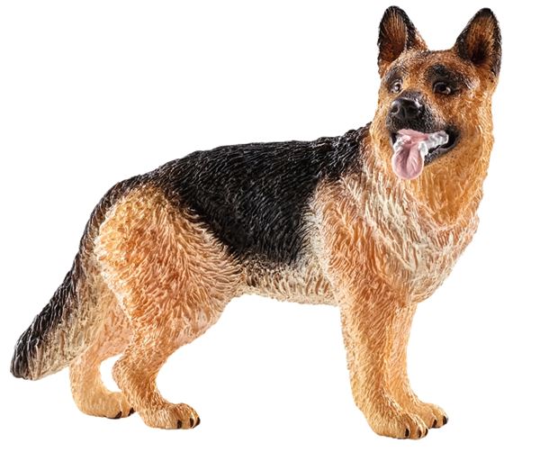 Schleich-S 16831 Toy, 3 to 8 years, Dog, Plastic