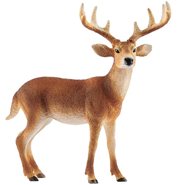 Schleich-S 14818 Toy, Tailed Buck, White