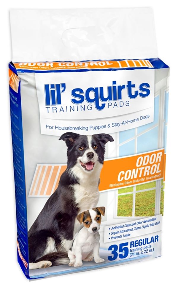 Ruffin'It Lil' Squirts 82006 Odor Control Training Pad, 21 in L, 22 in W