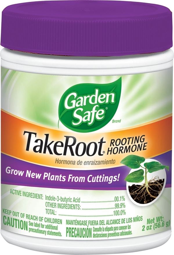 Garden Safe TakeRoot HG-93194 Rooting Hormone, 2 oz, Solid