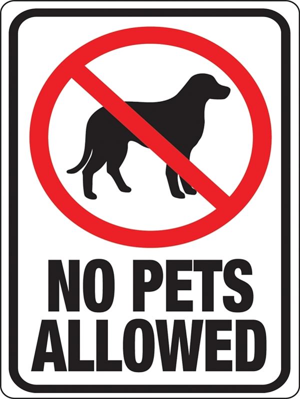 Hy-Ko 20616 Identification Sign, Rectangular, NO PETS ALLOWED, Black/Red Legend, White Background, Plastic, Pack of 10