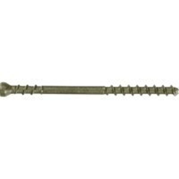 CAMO 0345244S Deck Screw, #7 Thread, 2-3/8 in L, Trim Head, Star Drive, Stainless Steel, Black