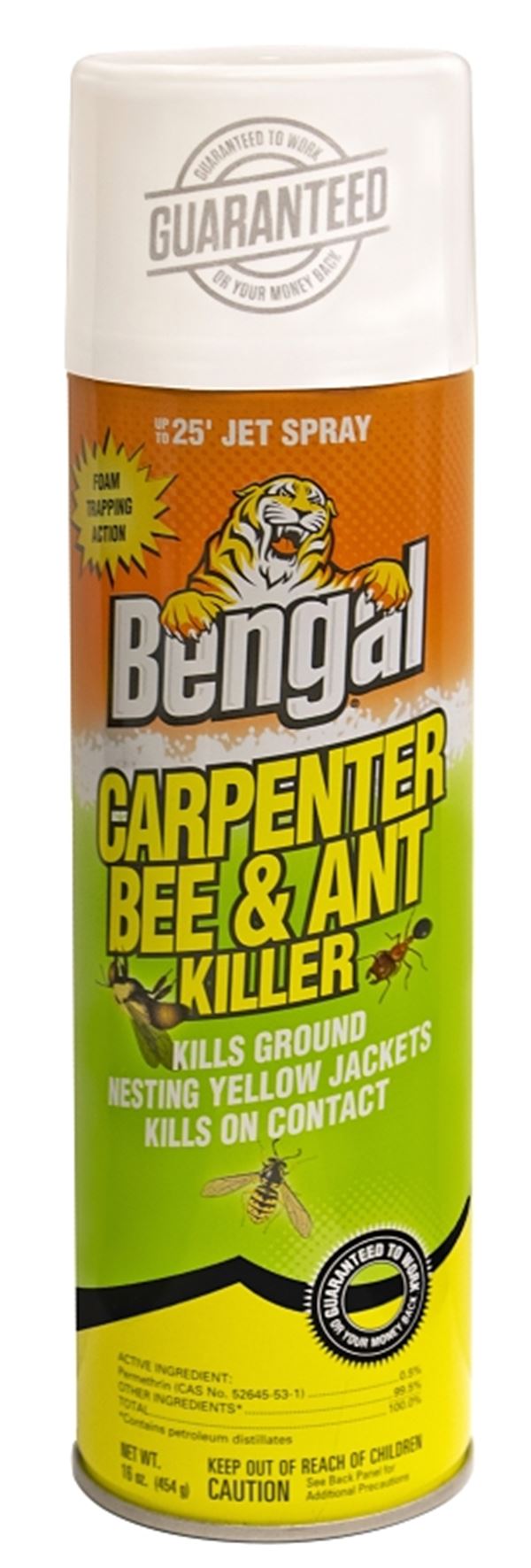 Bengal 97199 Carpenter Bee and Ant Killer, Spray Application, 16 oz