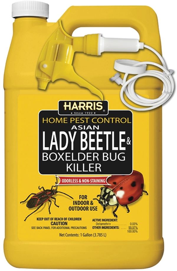 Harris HBXA-128 Beetle and Box Elder Bug Killer, Liquid, Spray Application, 128 oz