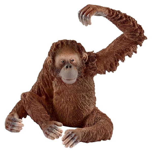 Schleich-S 14775 Figurine, 3 to 8 years, Female Orangutan, Plastic