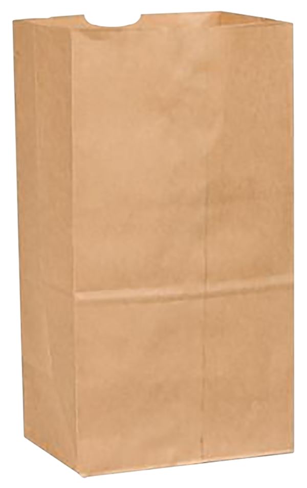 BAG BEER 25LB SHORT-65LB KRAFT