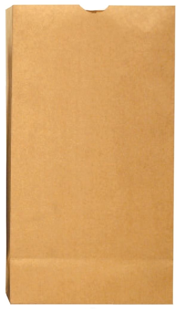 Duro Bag Dubl Life 18410 SOS Bag, #10, 6-5/16 in L, 4-3/16 in W, 13-3/8 in H, Kraft Paper, Brown